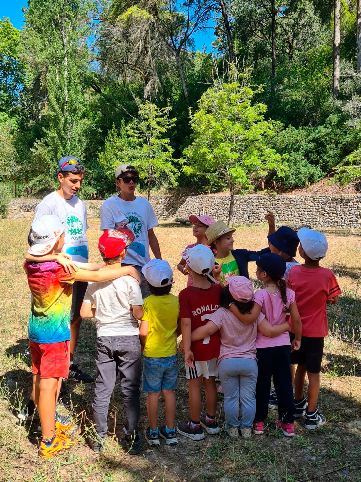 Voluntariado jovem na Mata Nacional dos Sete Montes